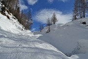 34 Belli i larici sul bianco della neve e nell'azzurro del cielo!